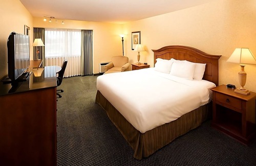 Wenatchee Hotel | Pet-Friendly Haven: Bring Your Furry Friends Along for the Adventure!