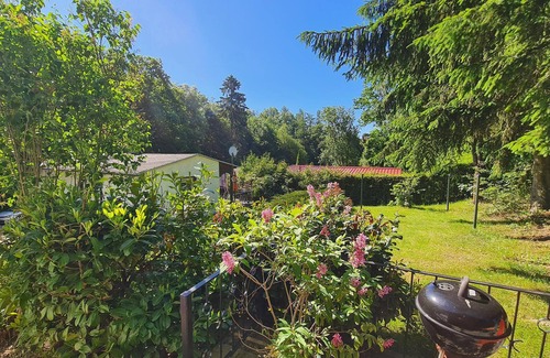 Dankerode House | Pet friendly home in Harzgerode OT D.