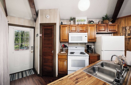 Gatlinburg - Pigeon Forge Ski Chalet | Pet friendly, hottub, sleeps 4, flat roads, GBurg!