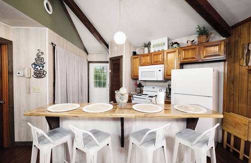 Gatlinburg - Pigeon Forge Ski Chalet | Pet friendly, hottub, sleeps 4, flat roads, GBurg!