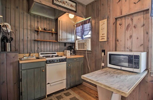 Dent Cabin | Pet-Friendly Lake Cabin: Boat Rentals & Dock!