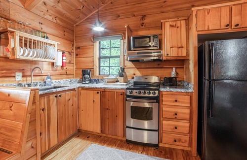 Hot Springs Cabin | Pet-Friendly Mountain Log Cabin for Couples