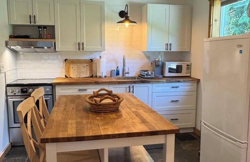 Proctor Cottage | Pet-Friendly Mountain-View Kootenay Cottage for single or couples, No pet fee