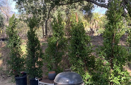 Altadena Cottage | Pet Friendly Private Cozy Casita on 2 acre Property