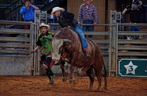River Ranch Apartment | Pet Friendly River Ranch Escape 2 Beds
