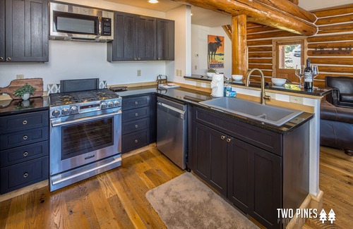 Powder Ridge Cabin | *Pet Friendly* Ski-In/Ski-Out Cabin W/Hot Tub & Mountain Views