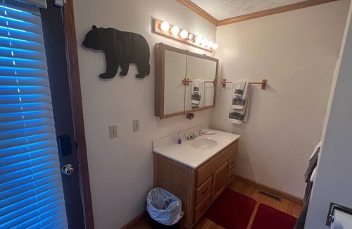 Mingo Cabin | Pet Friendly! Smith's Mother-in-law suite in snowshoe!