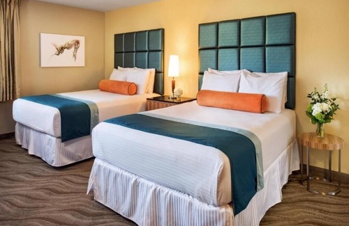 Little Italy Hotel | Pet-Friendly Stay in Little Italy – Perfect for City Adventures | 4 Units