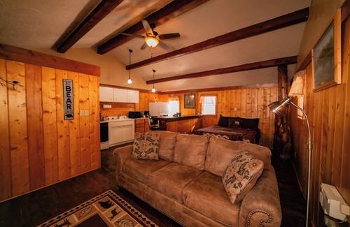 Dubois Cabin | Pet-Friendly Studio Cabin with River Access, Mountain Views & Hot Tub!