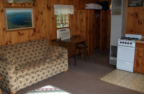 St Germain Cabin | Pet-Friendly Studio With Fireplace And Air-Conditioning