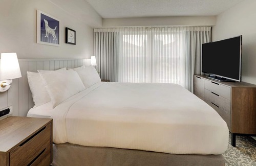 Sorrento Valley Hotel | Pet- friendly Suites with Free Breakfast in Great Location Near Black's Beach!