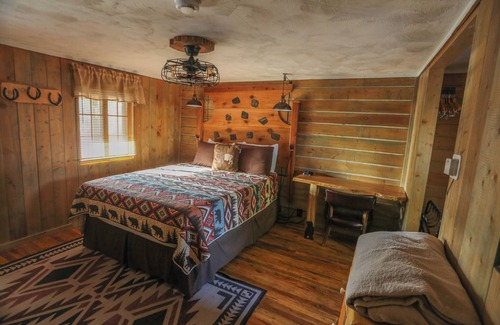 Dubois Cabin | Pet-Friendly Wind River Deluxe Queen w/Mountain View, Hot tub & Parking