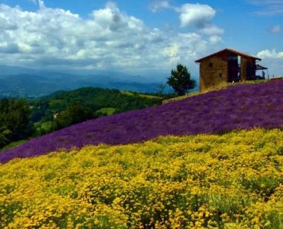 Castellino Tanaro House | Peter Pan