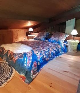 Dingy-Saint-Clair Ski Chalet | Petit chalet authentique