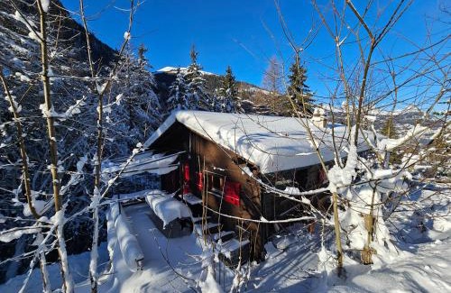 Bovernier Ski Chalet | Petit chalet rustique et bucolique