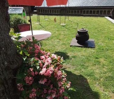 Cier-de-Luchon Apartment | petit gîte de montagne avec jardin et terrasse