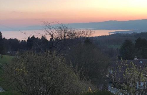 Belmont-sur-Lausanne House | Petite maison à l'orée des bois vue magnifique sur le lac zenitude et plénitude