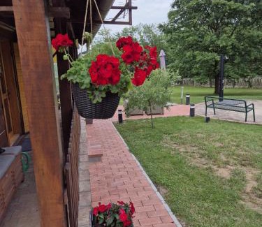 Stari Mikanovci House | PETRA kuća za odmor