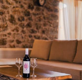 Synikia Mesi Trikalon House | Petradi Guesthouse