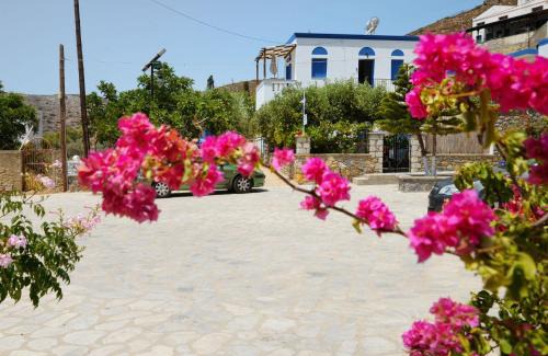 Kalymnos Apartment | Petroula Apartments II