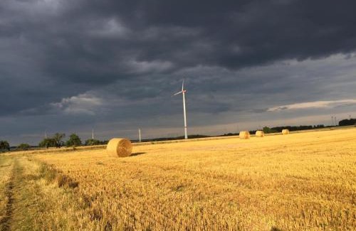 Morsdorf House | Petryhof