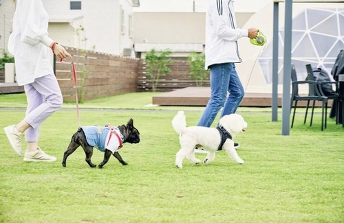 Katakai RV Rental | Pets allowed 7m dome tent B Room only plan /Sanbu District Chiba