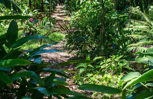 Bongaree House | Pets welcome-no fees; W'chair access; Free Wifi
