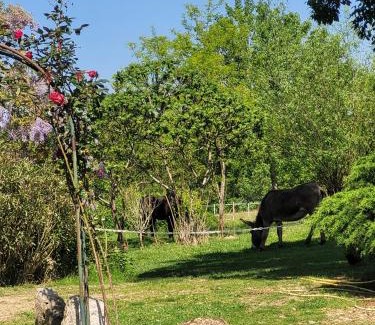 Sistels Bed & Breakfast | pey sud gaua