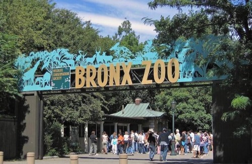 Bedford Park Apartment | Phenomenal apartment with AC in vibrant The Bronx