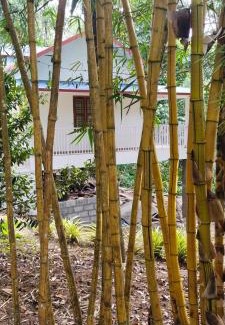 Pirmed House | Philip Mary Farm Stay