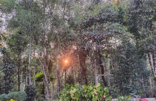 Pirmed House | Philip Mary Farm Stay