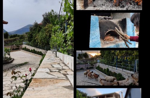 Albanian Riviera Apartment | Phoenice's apartment