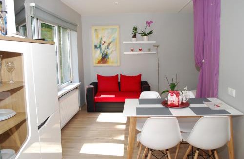 Jurmala Apartment | Phoenix apartment