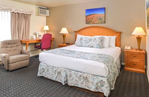 Solvang Hotel | Photo Safari in Solvang! 2 Convenient Units, Pool, Close to Sunny Fields Park!