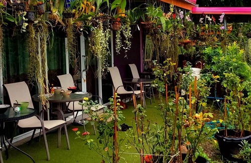 Bung Khong Long House | Phulunngkhawiew Homestay