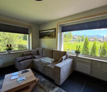 Bialy Dunajec Apartment | Piękne apartamenty z widokiem na góry , Sauna, kominek, darmowy parking , 5min od Zakopanego