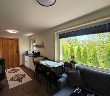 Bialy Dunajec Apartment | Piękne apartamenty z widokiem na góry , Sauna, kominek, darmowy parking , 5min od Zakopanego
