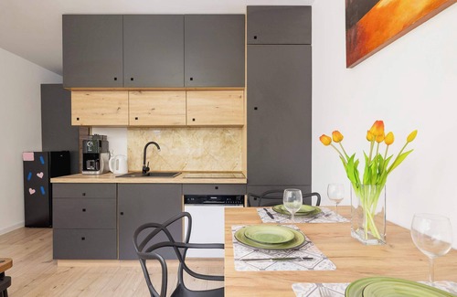 Katowice Apartment | Piastów 5 Katowice | Comfy Apartment | Balcony | Smart TV | Silesian Park, Zoo