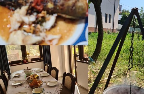 Niculitel House | PIATRA ROSIE Pensiune Agroturistică
