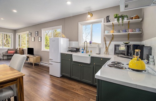Newaygo Cottage | Pickerel Lake Waterfront Cottage - with Kayaks!
