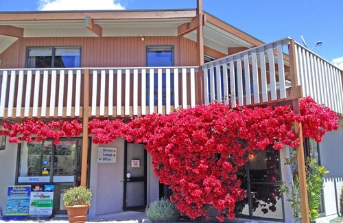 Picton Resort | Picton Campervan Park