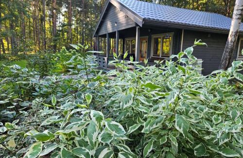 Lapmezciems Parish House | Pie Putniem