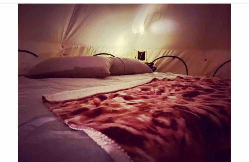 Petersburgh Other | Piebald Mountain Pet Friendly Tents, Petersburg, New York