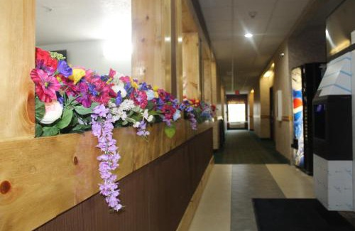 Luna Pier Hotel | Pier Inn