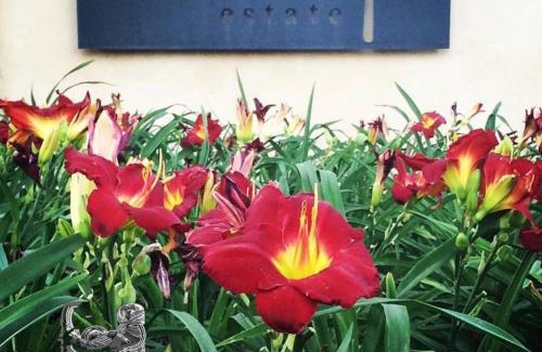 Pretoria House | Pierneef's Kraal