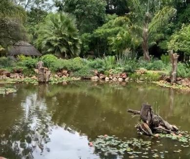 Harare East House | Piers Villa E