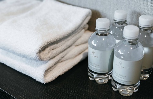 Zwolle Hotel | Pillows Grand Boutique Hotel Ter Borch Zwolle