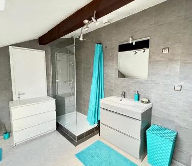 Sarrebourg Apartment | Pin's - Magnifique appartement
