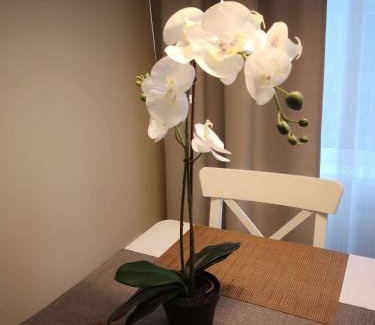 Eglu Ciems Apartment | Pine Cone Apartment