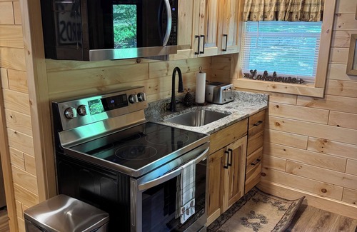 Alden Cabin | PINE COTTAGE - Pet Friendly Lakefront Cottage on Thayer Lake